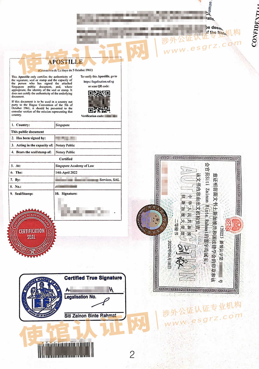 新加坡个人纳税证明文件公证认证样本用于在中国使用