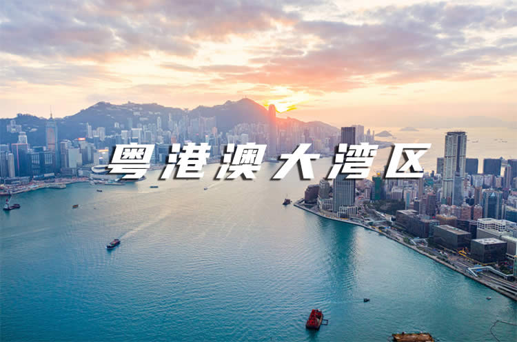 人在內地回不了香港要买房申请减免契税可以委托代办香港单身证明公证吗？